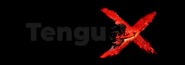 TenguX